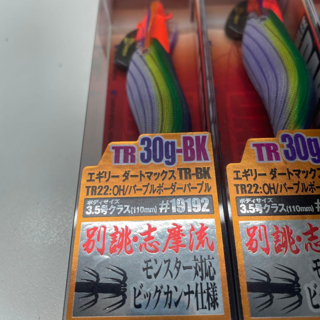 エギリーダートマックスTR30g セット