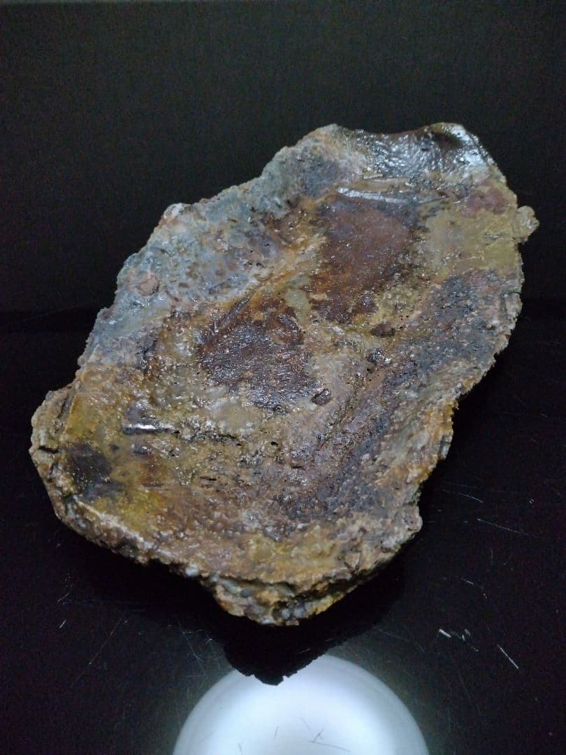 【備前焼 窯変長皿】伝統工芸士 森本 桂／送料込み！