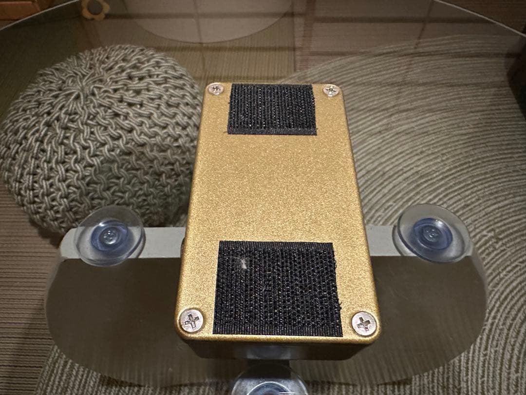 HMPF Morning Gloryクローン