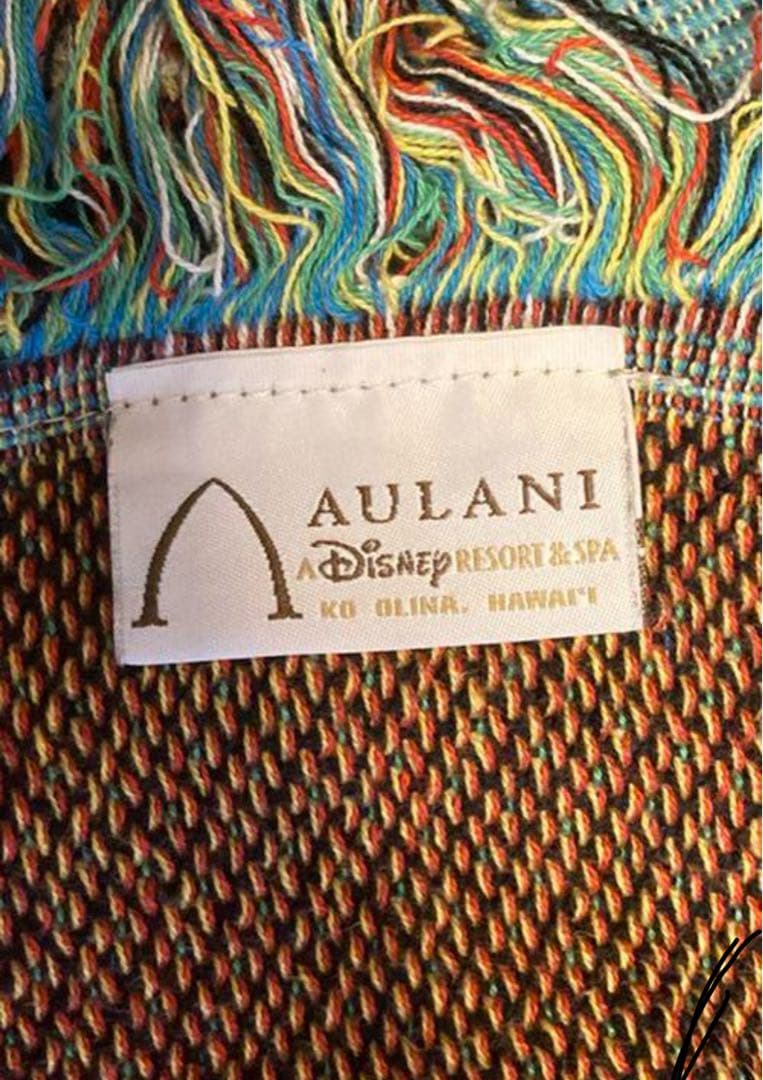 値引き中⭐︎レア⭐︎アウラニディズニー ミッキー　ミニー　ラグ　150x126