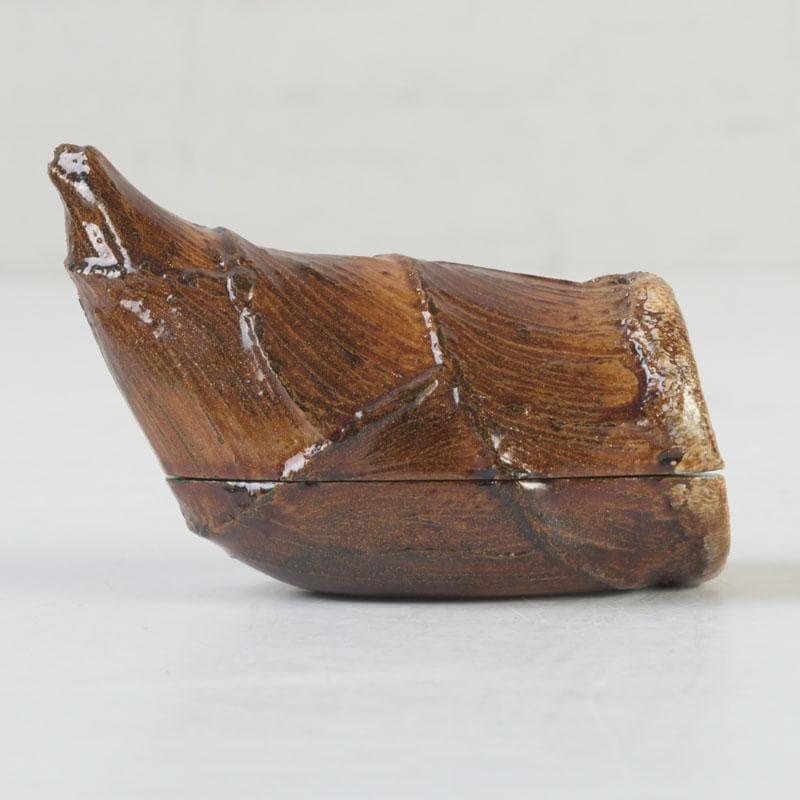 茶道具　輪島塗　塗師　川岸英之作　筍香合　共箱　V　9814