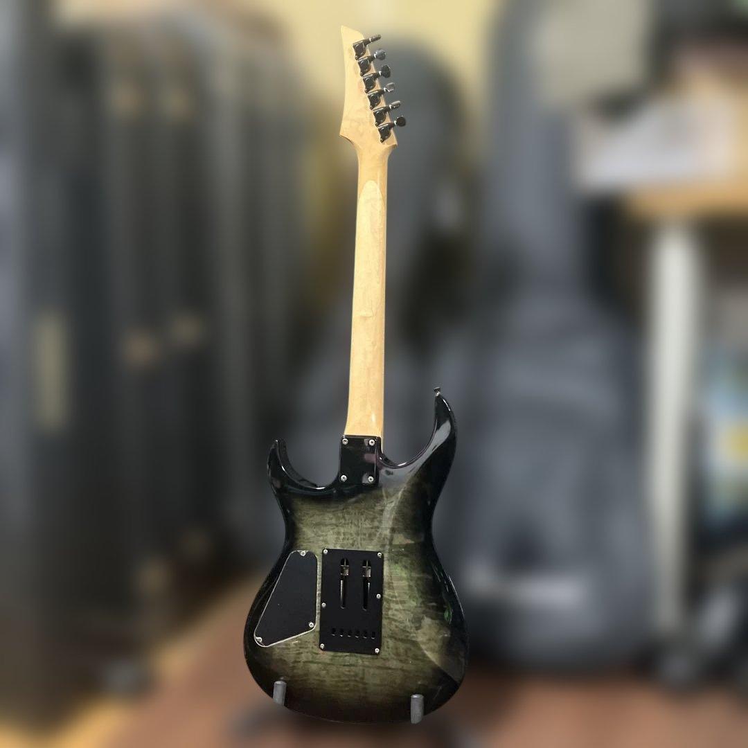 フェルナンデス FGZ SSH ディンキー