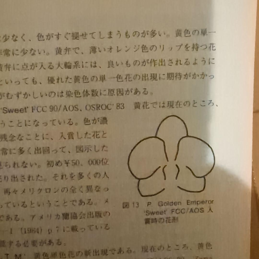 【レア】ファレノプシス （花専科・育種と栽培） 市橋正一／編著