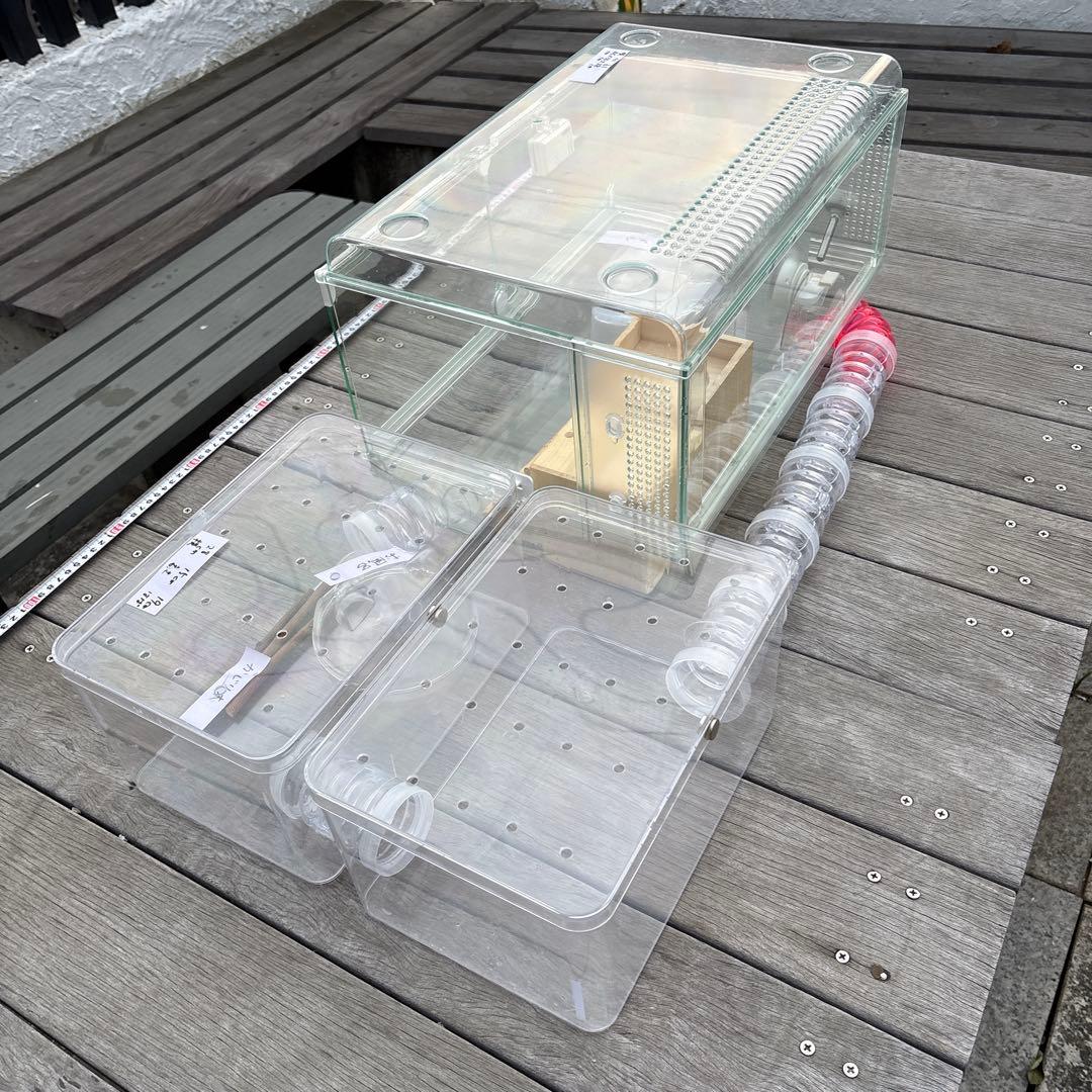 ハムスター　飼育セット　アクリル　小動物ケージ