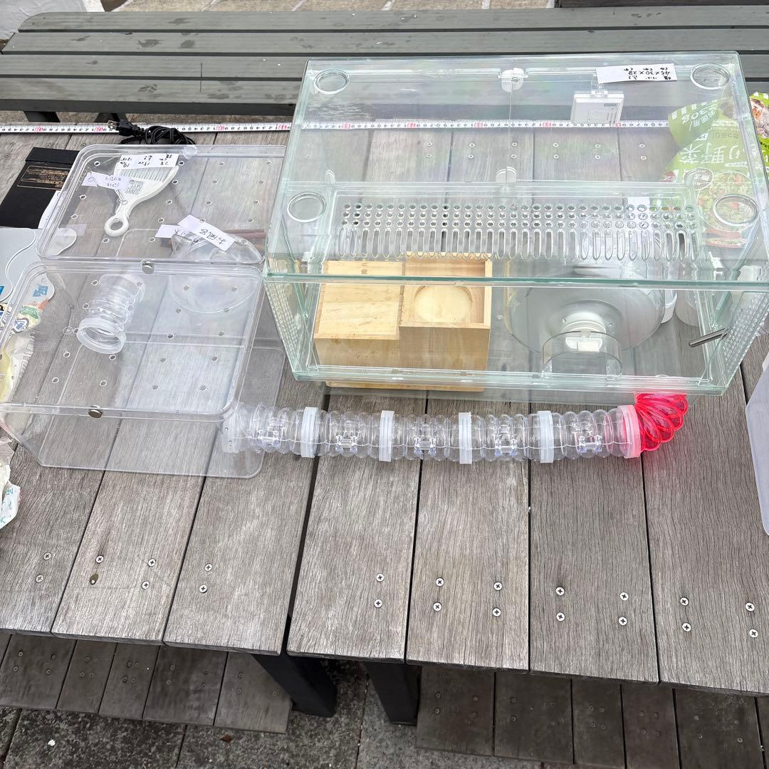 ハムスター　飼育セット　アクリル　小動物ケージ