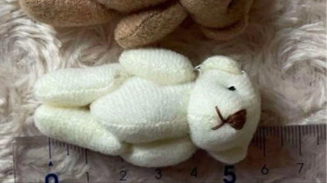 My Cheer Charms様用セット