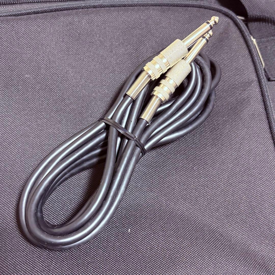 【ケース/付属品多数】 美品 三味線 琉球 楽器 入門 初心者