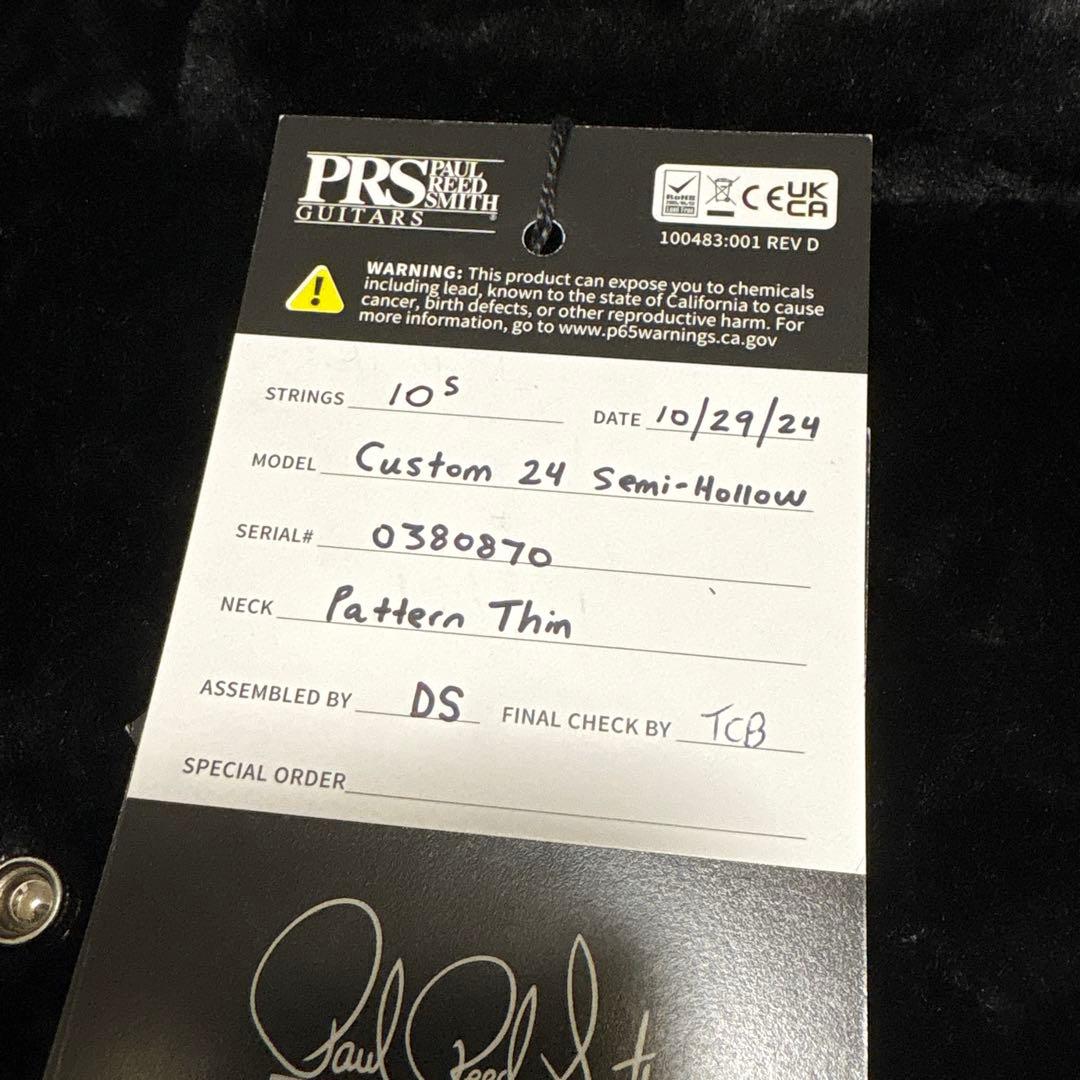 ギター PRS Custom 24 Semi-Hollow