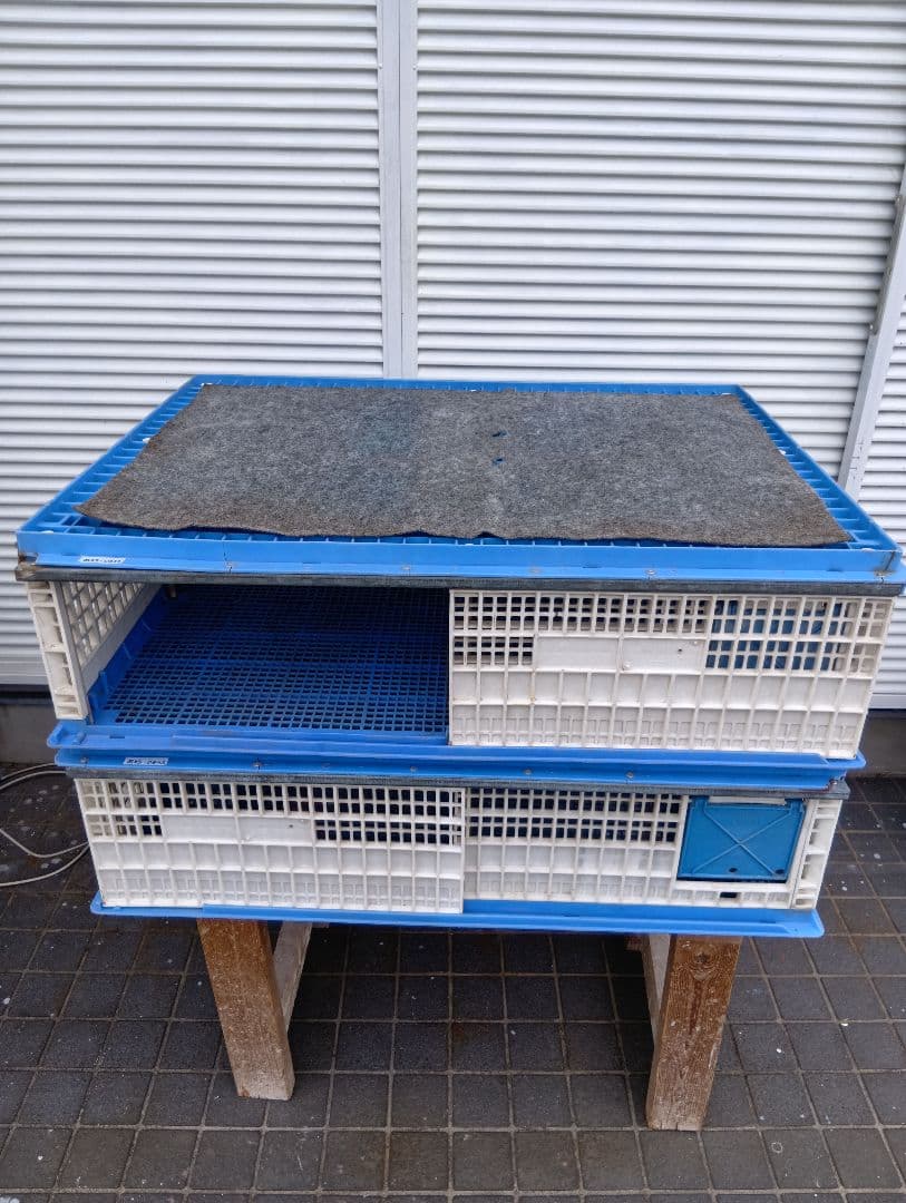 放鳩籠　コンテナ　レース鳩　移送　搬送　輸送　コンテナー　キャディー　愛鳩の友