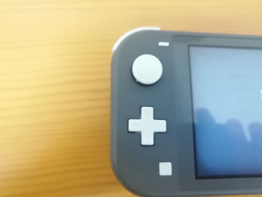 ㉚Nintendo Switch Lite グレー