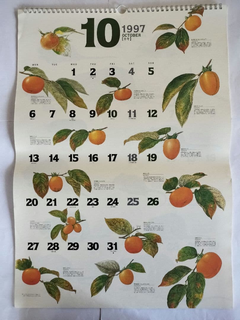 BE-PAL ビーパル カレンダー 新品未使用 1997年　ヴィンテージ