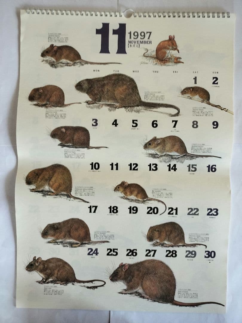 BE-PAL ビーパル カレンダー 新品未使用 1997年　ヴィンテージ