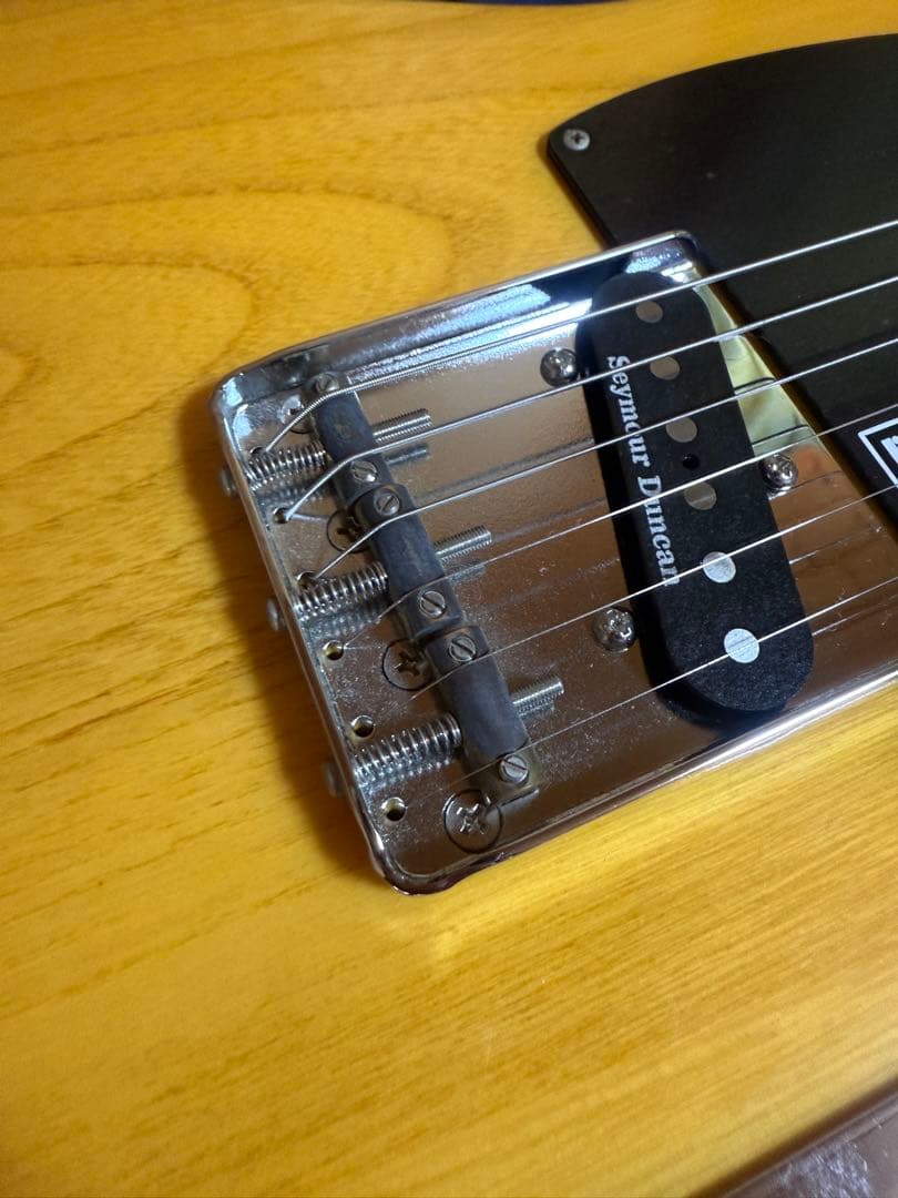 Edwards E-TE-100M/LT テレキャスター ラッカートップ