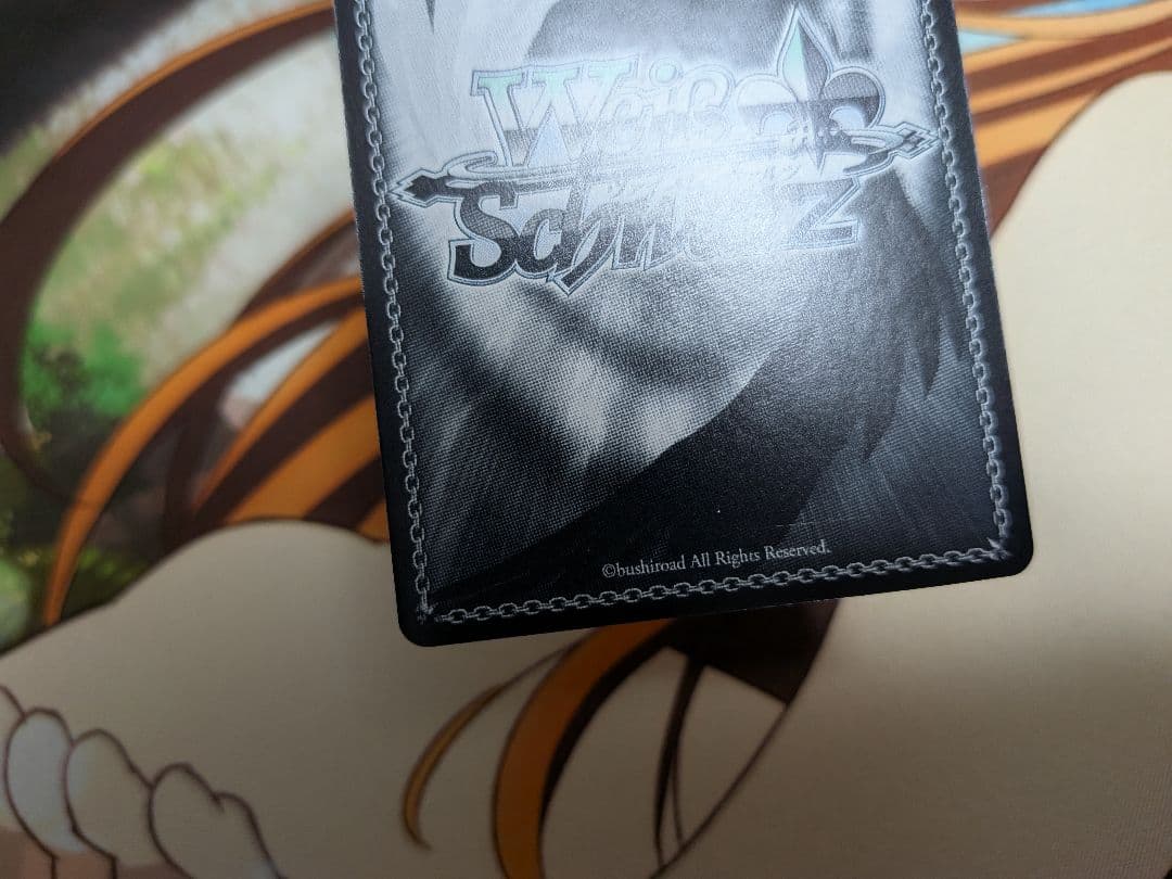 ヴァイス　守るべき大切なもの　なのは　SSP　サイン