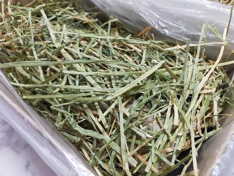【処分価格】 カナダ産 チモシー 50kg スーパープレミアム １番刈り
