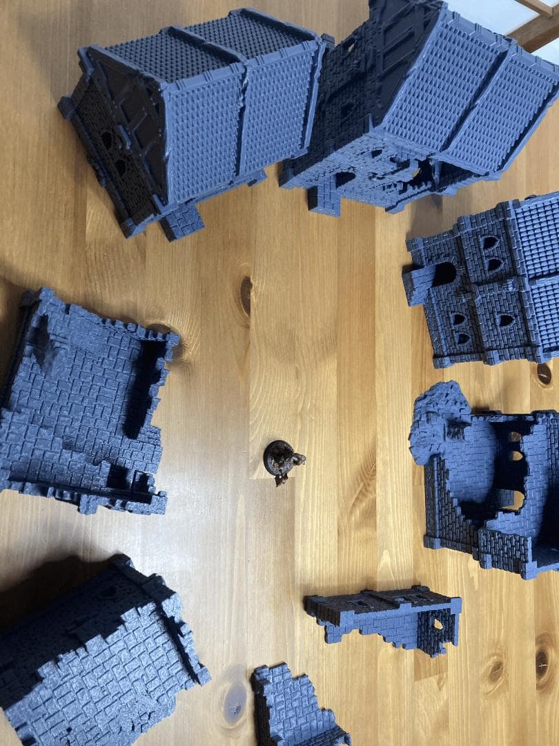 その他 Terrain - House & Ruins Set (6+ houses)