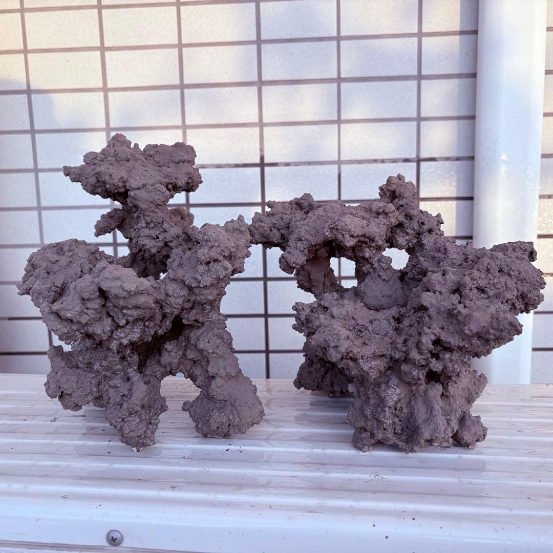 人工ライブロック　2 sets ver