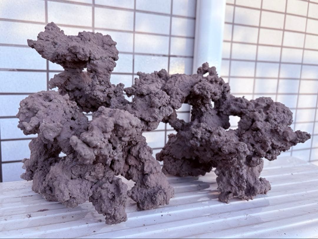 人工ライブロック　2 sets ver