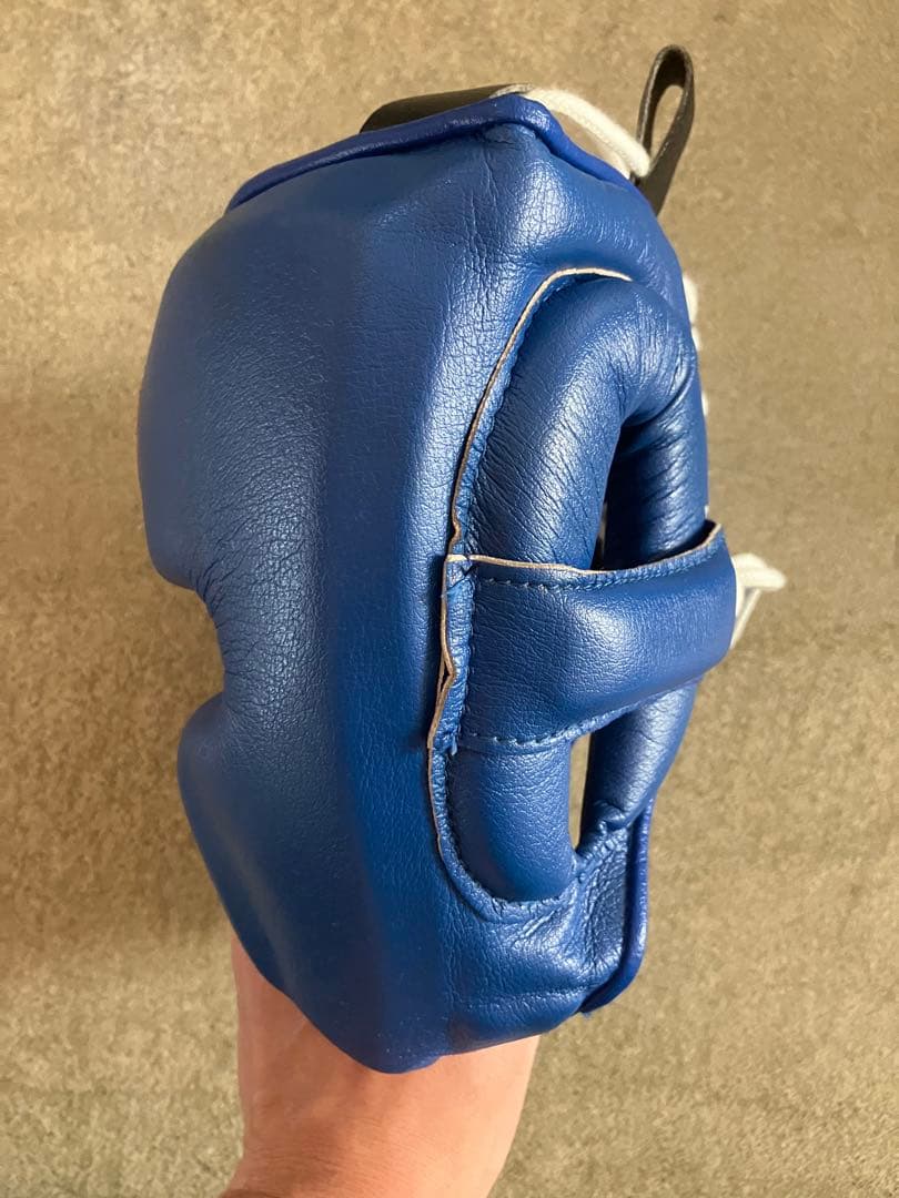 Winning ヘッドギア フルフェイスタイプ ブルー L FG-2900