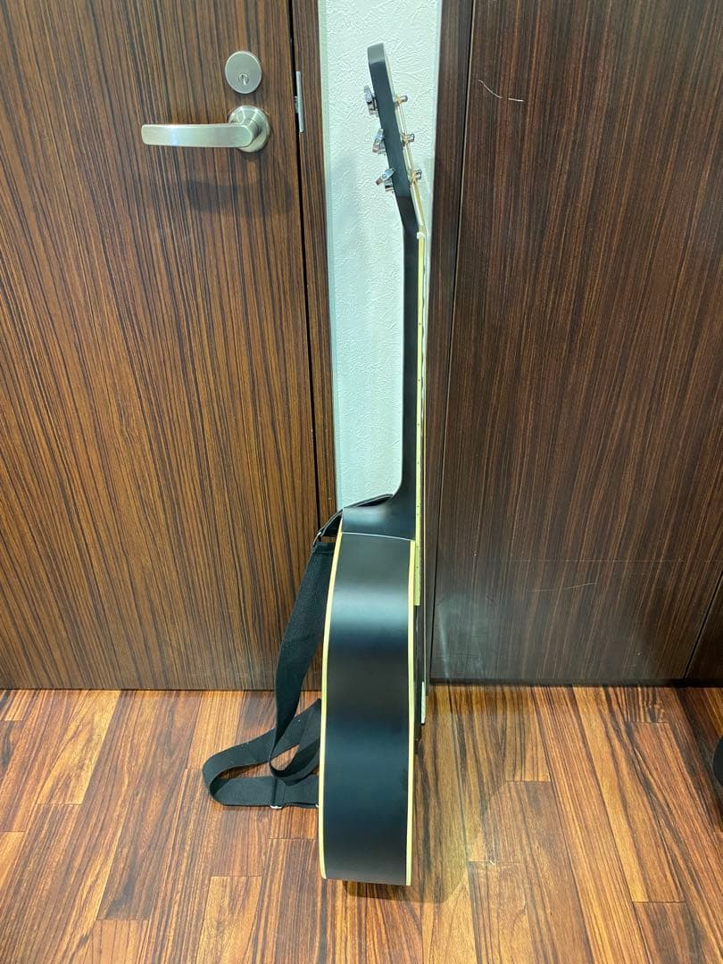 ✴️即購入不可コメント必須 Donner DAG-1CB ギター マットブラック