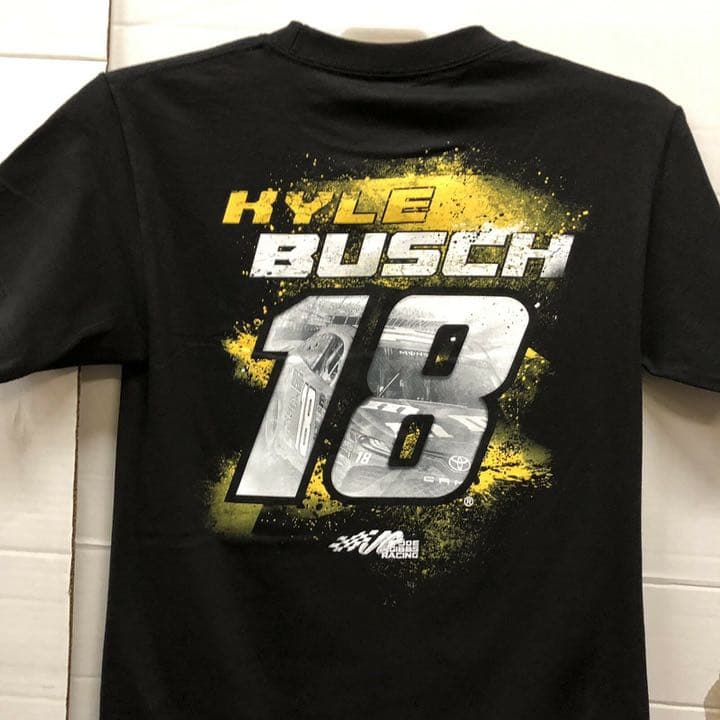 Kyle Busch #18 2019 NASCAR 1:24  Case＋車体