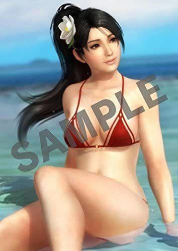 DEAD OR ALIVE5 LAST ROUND ps4 お風呂ポスター全8種