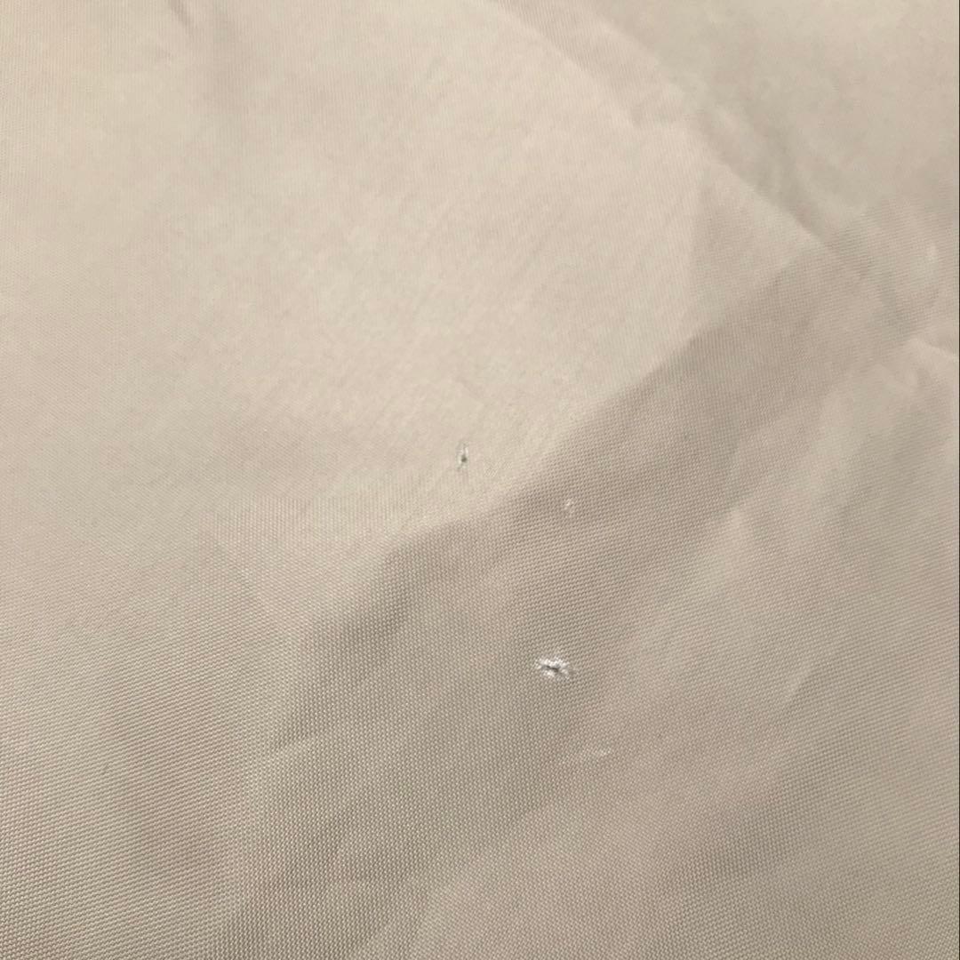 【訳あり】サバティカル ギリア sabbatical gilia 値段交渉可