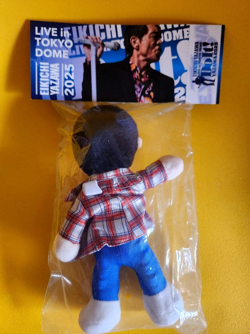 ★YAZAWA 2025★50周年記念ドーム限定★Mr.E＋メモリアルチケット