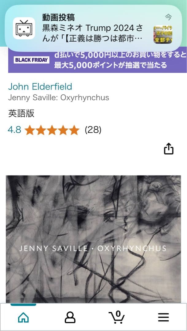 カタリーナ・グロッセ作品集　英語版　Katharine Grosse