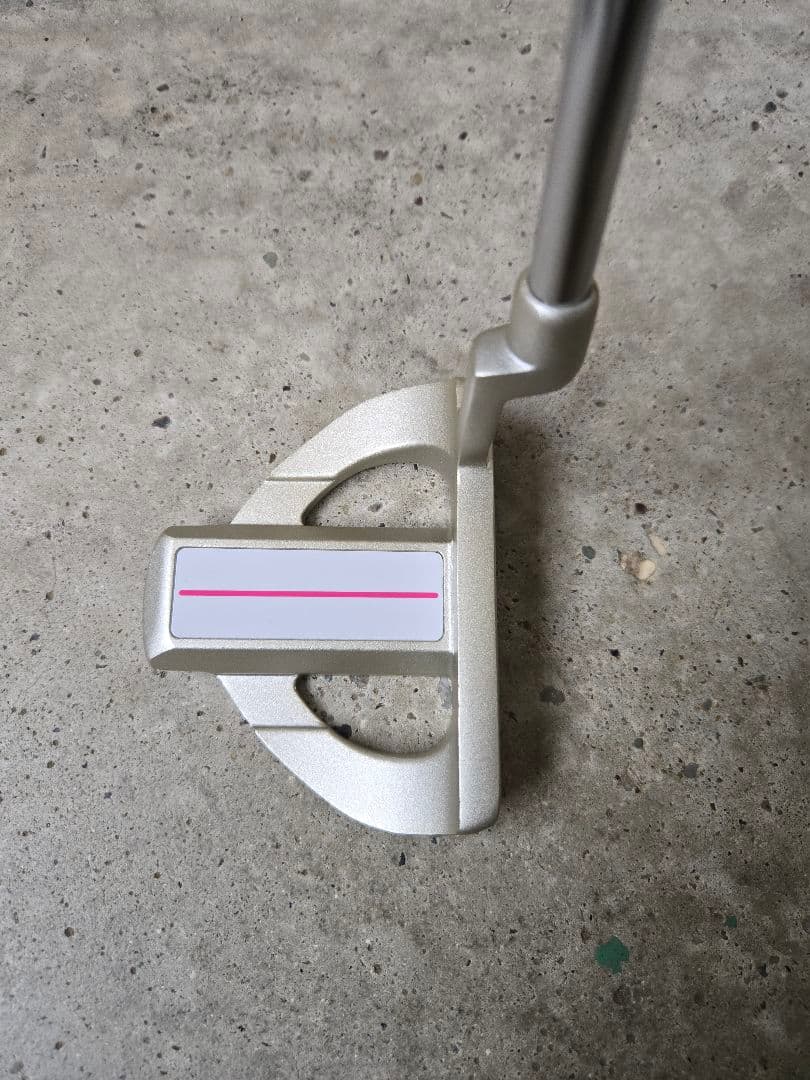 ワールドイーグル　FL-01 V2　レディースゴルフ10本セット　FLEX-L