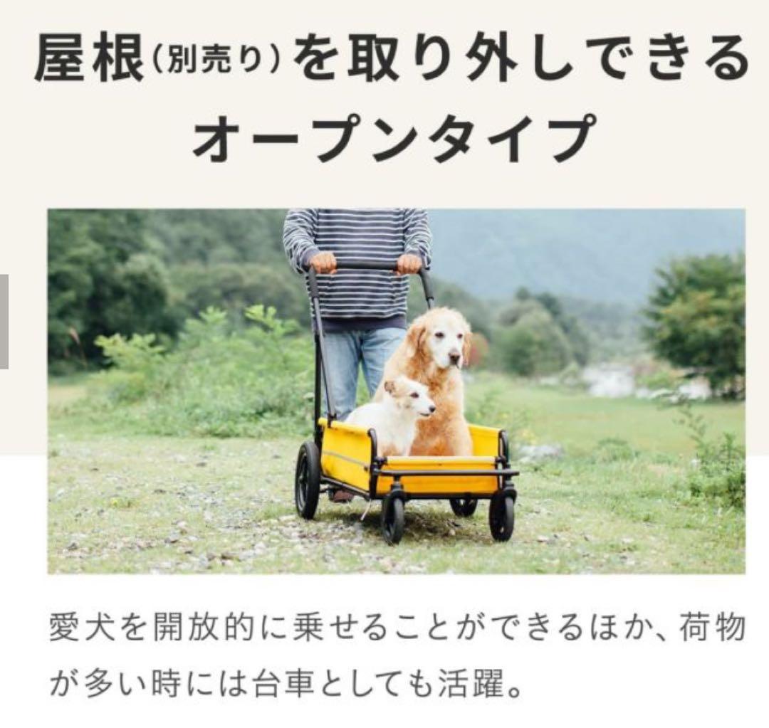 エアバギー キャリッジ 4点セット [台車・ルーフ・専用レインカバー他