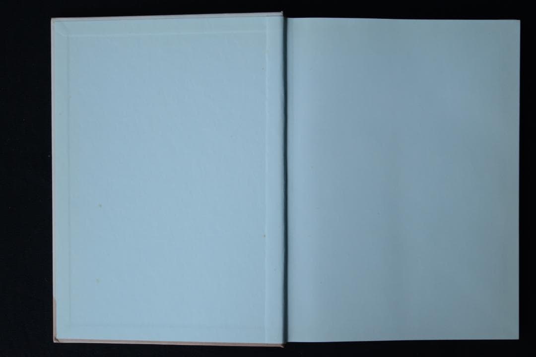 【Rineke Dijkstra: Portraits】2001年　★未読・美本