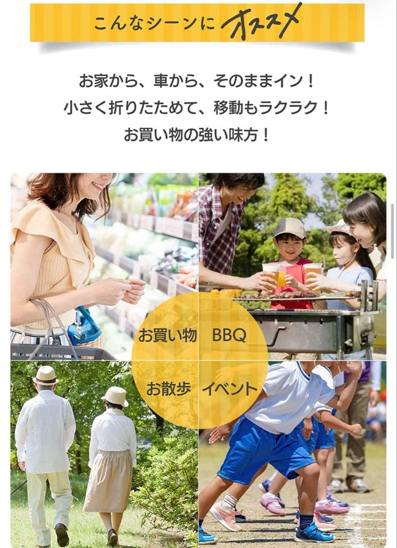 【美品】エコー　マイカート　ショッピングカート シルバーカー　保冷バッグ付き