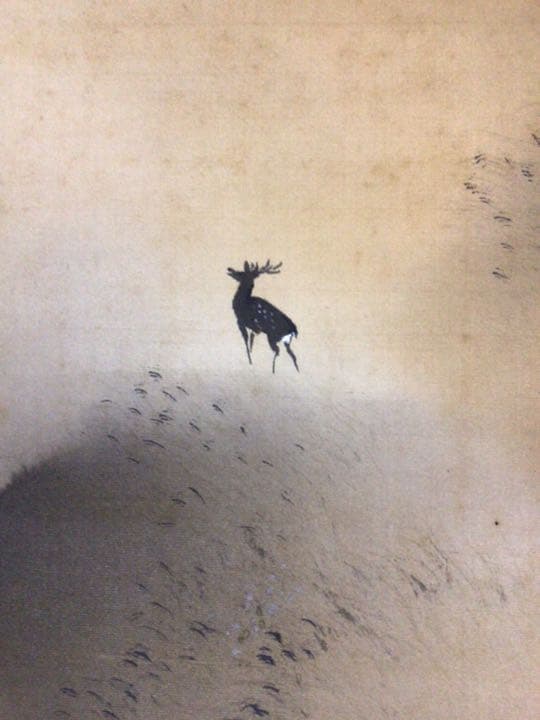 掛け軸　鹿さん…哀愁ダダ漏れ。。。　木箱付き