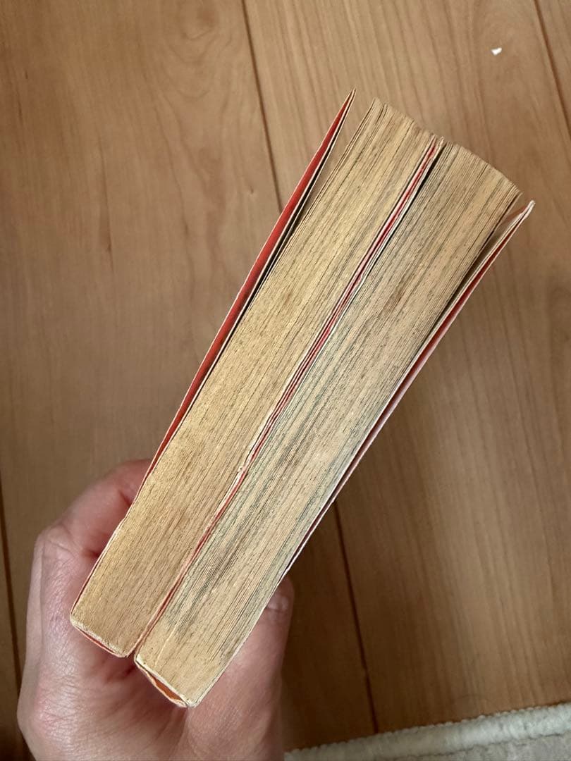 こいわ美保子　真夜中のシンデレラ等　2冊