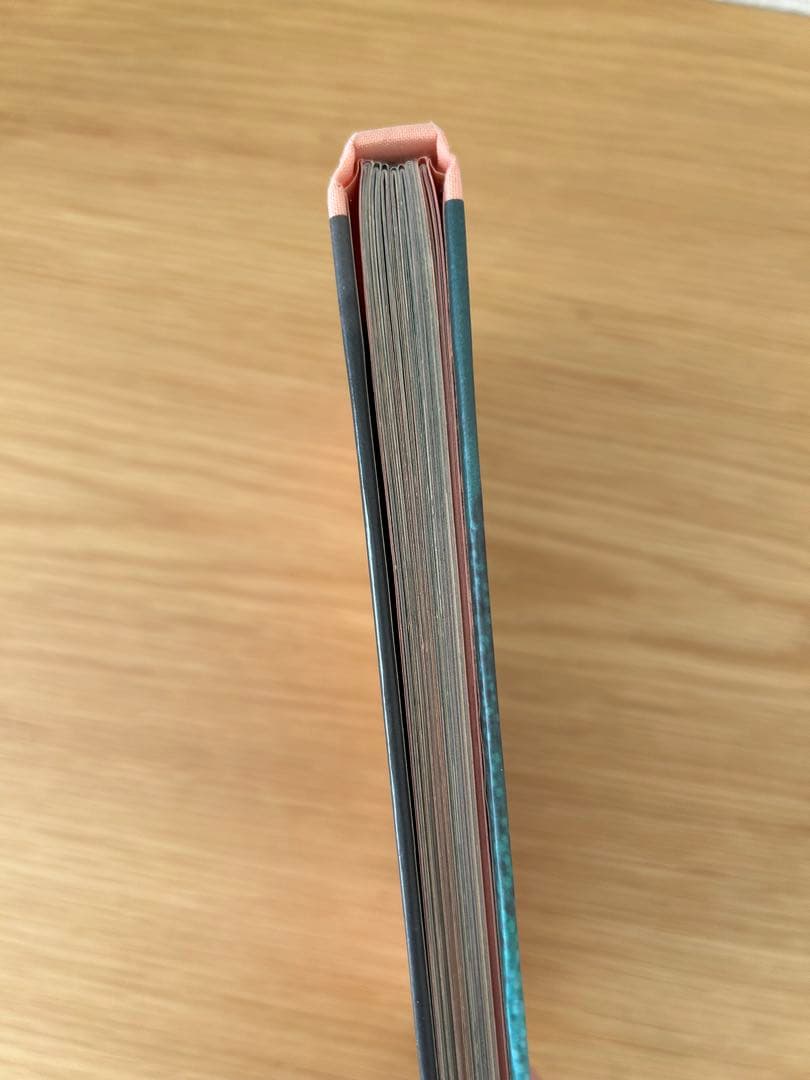 THE VIRGIN SUICIDES フォトブック