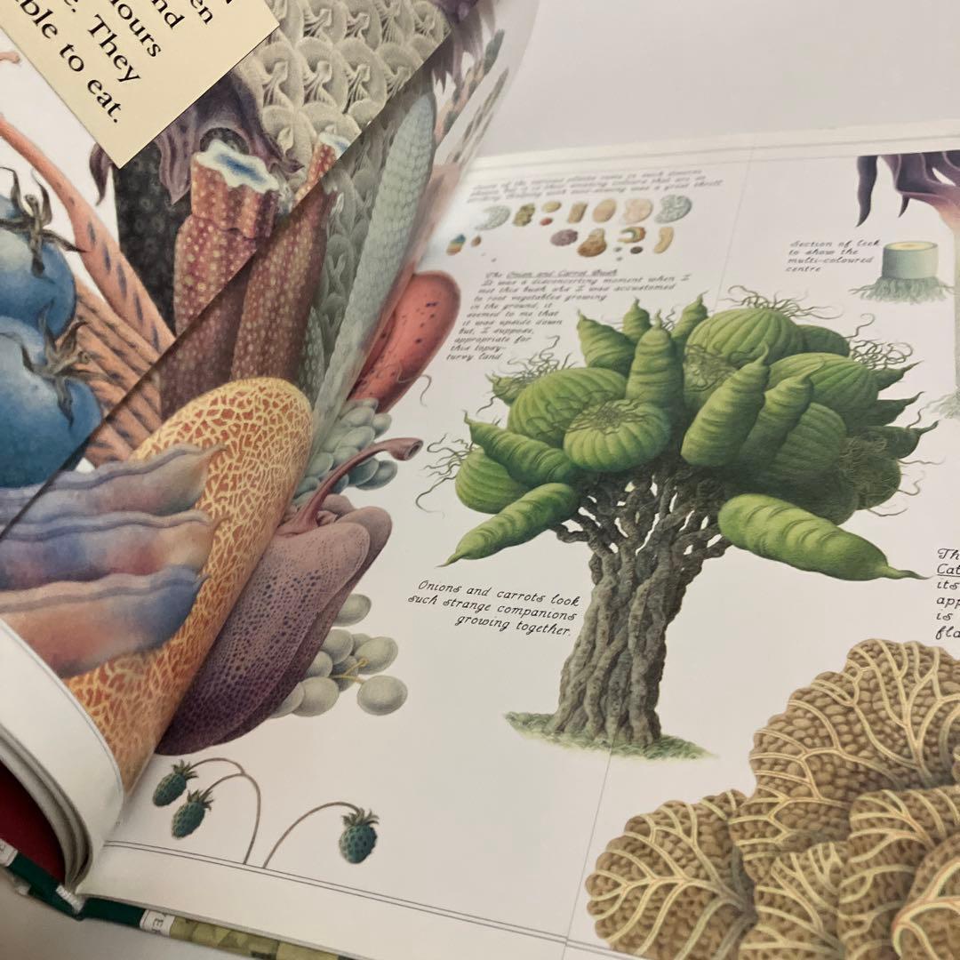 絵本　ノーマン・メッセンジャー　THE LAND OF NEVERBELIEVE