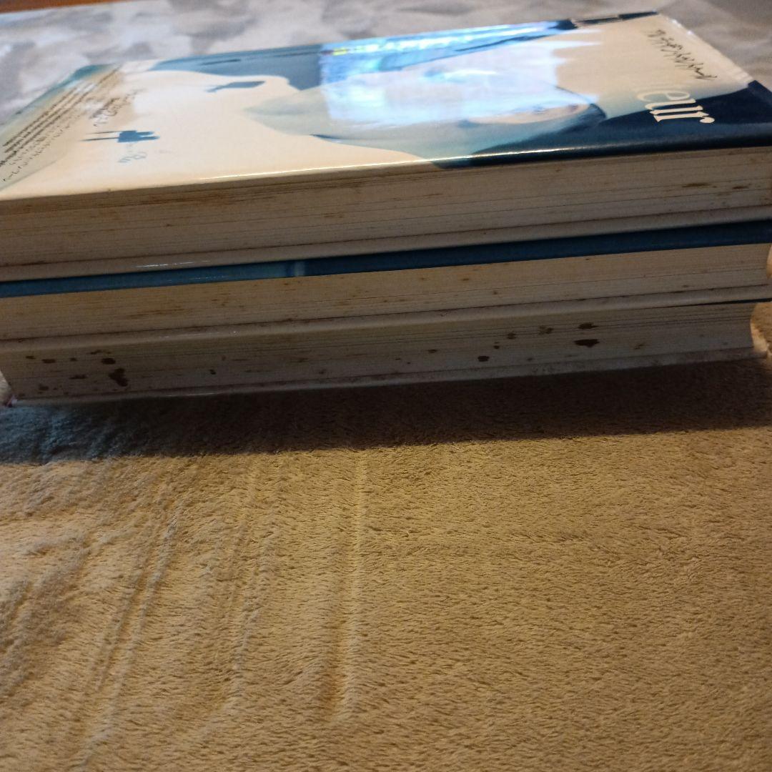 全3巻セット　アルティザン・トゥレトゥール　ドゥニ・リュッフェル　イルプルー