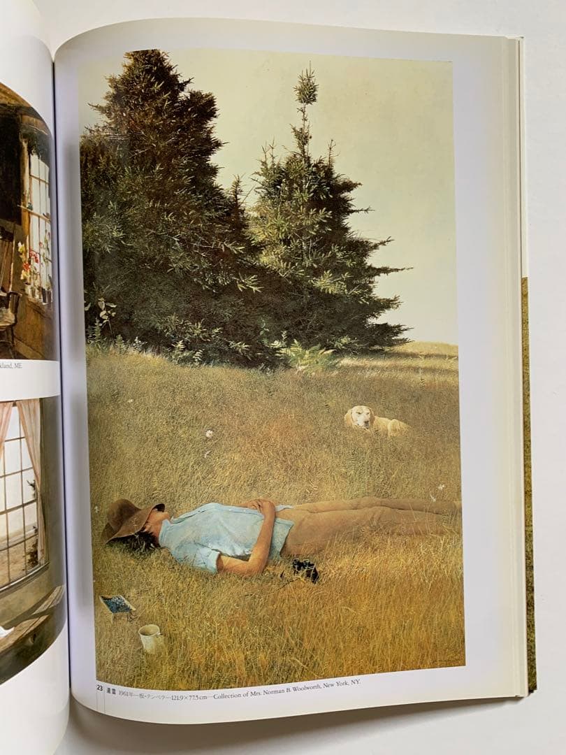 Andrew Wyethワイエス 現代美術 第3巻 講談社