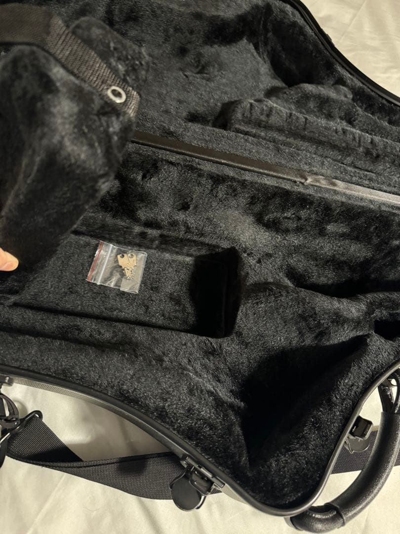 テナーサックスケース ウッドストーン　石森楽器