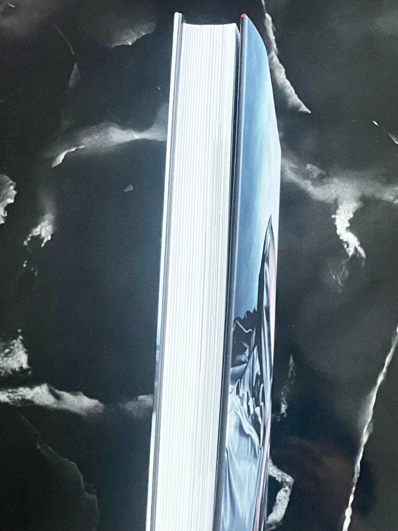 GUY BOURDIN A Message For You 写真集