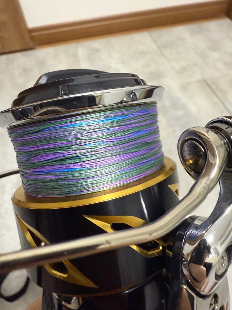 SHIMANO STELLA SW 6000HG スピニングリール