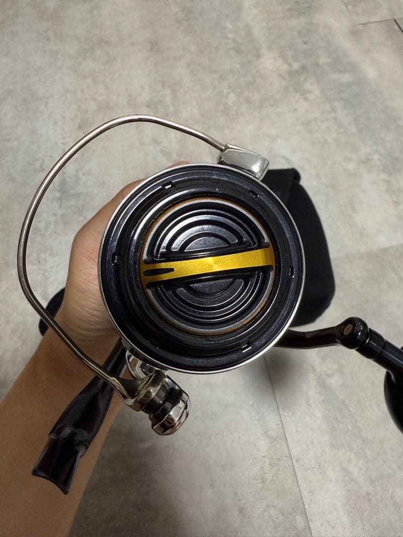 SHIMANO STELLA SW 6000HG スピニングリール