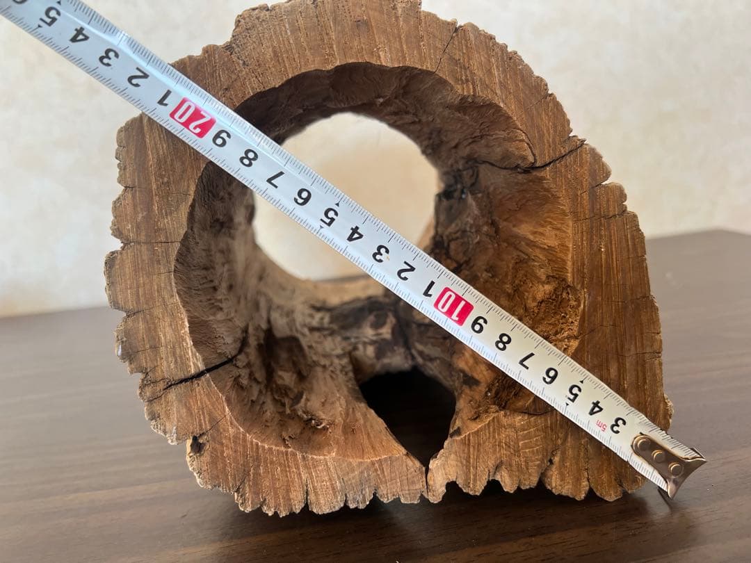 HX-008 流木　空洞　爬虫類　アクアリウム　アクアテラリウム　即沈水