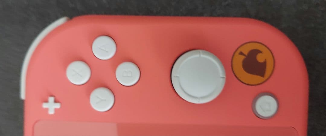ニンテンドーswitch lite しずえアロハ柄