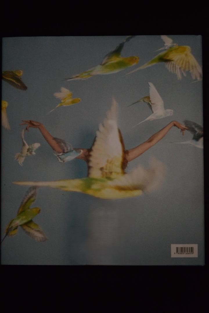 Ryan McGinley: Whistle for the Wind ★値下げ