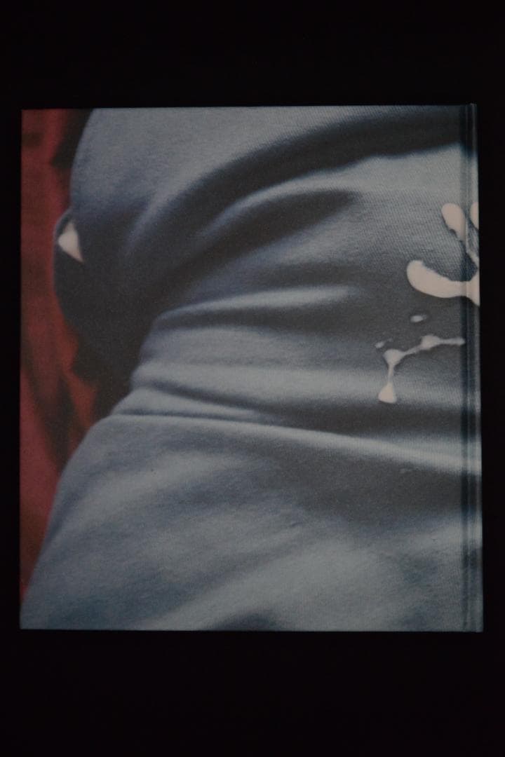 Ryan McGinley: Whistle for the Wind ★値下げ