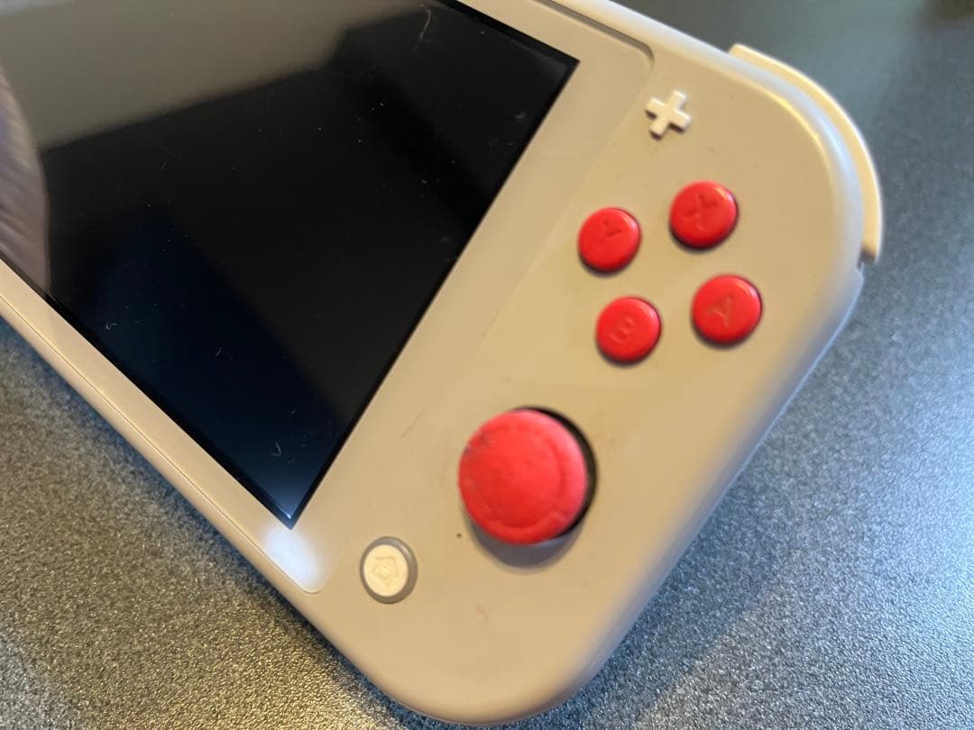 Nintendo Switch Lite グレー ケース付き（ポケモン）