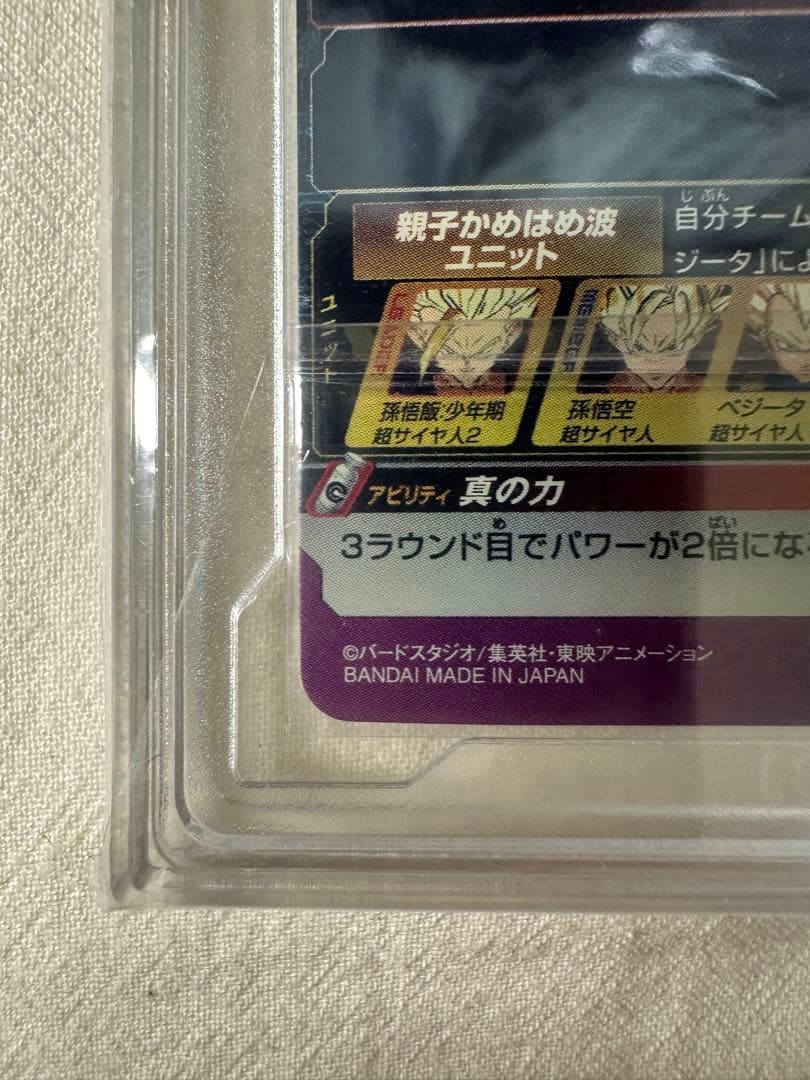 H2-16P 孫悟飯　PCG10