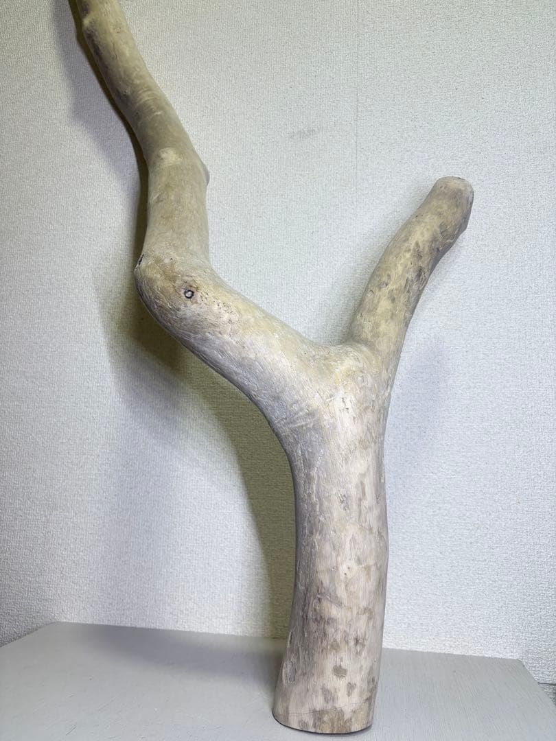 G7 流木　灰汁抜き処理済み　美肌美白特大流木122cm